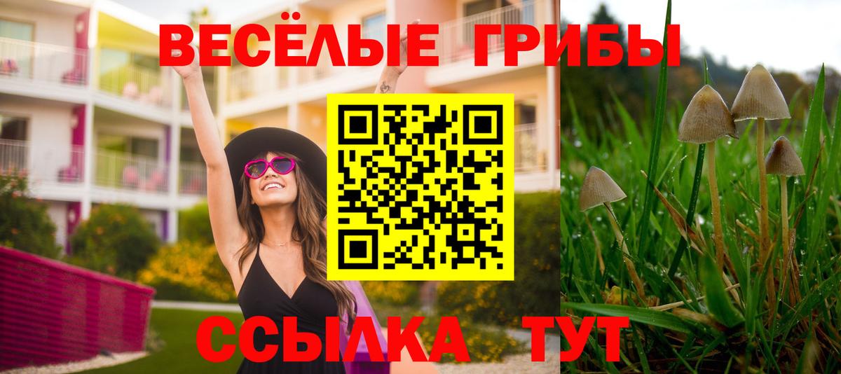Псилоцибиновые грибы ЛСД Гагарин